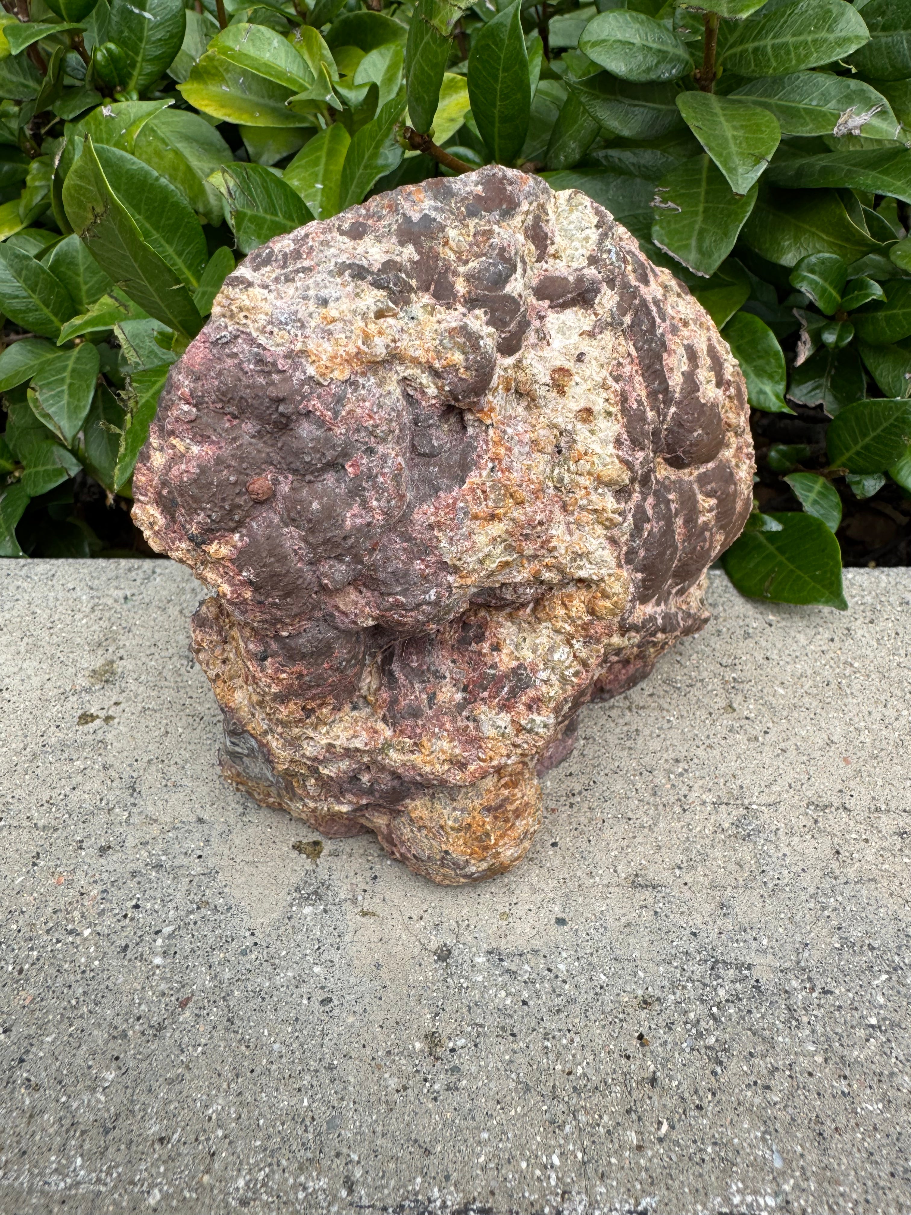 Dugway Geode; 669.4 grams