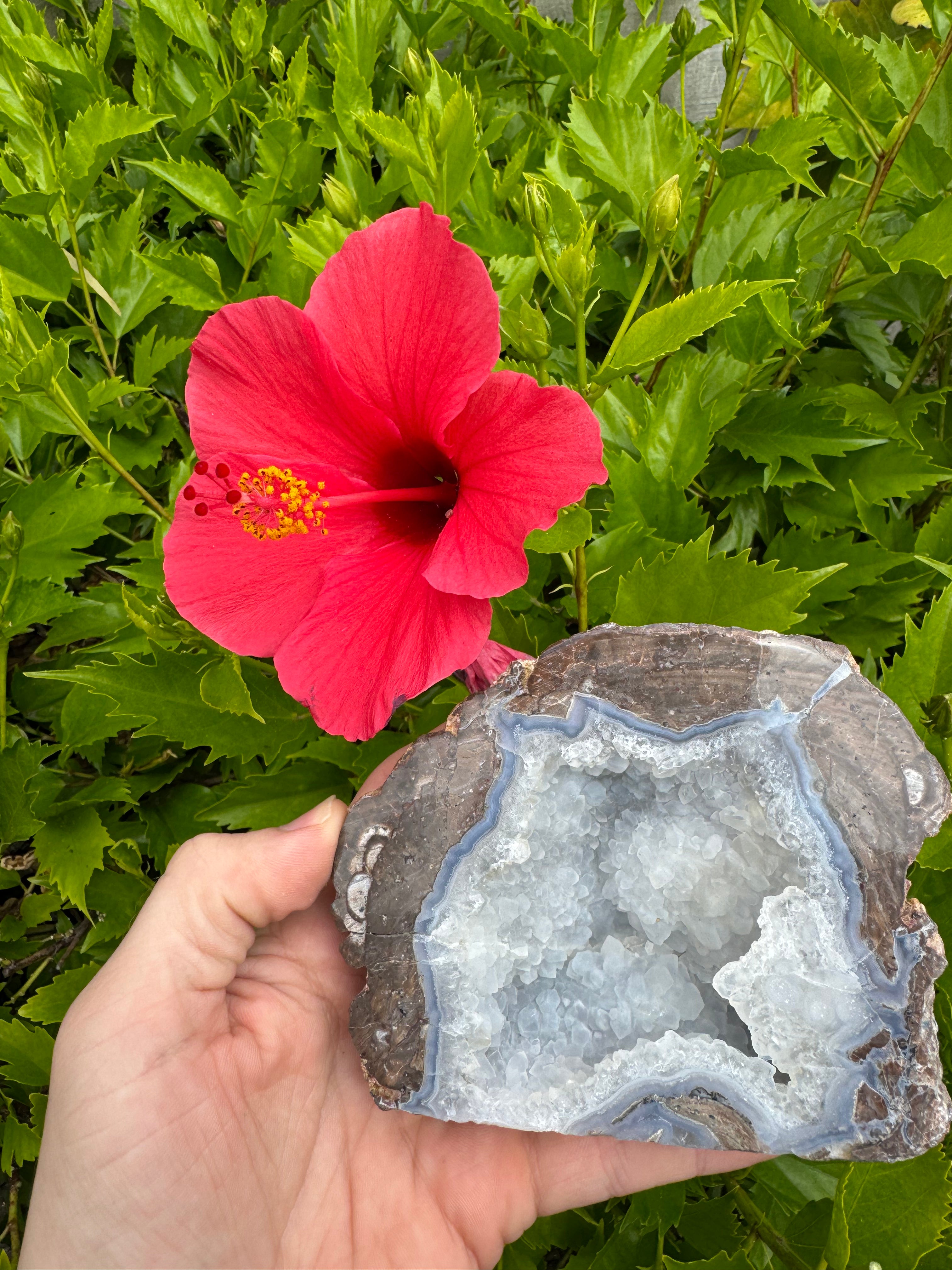 Dugway Geode; 669.4 grams