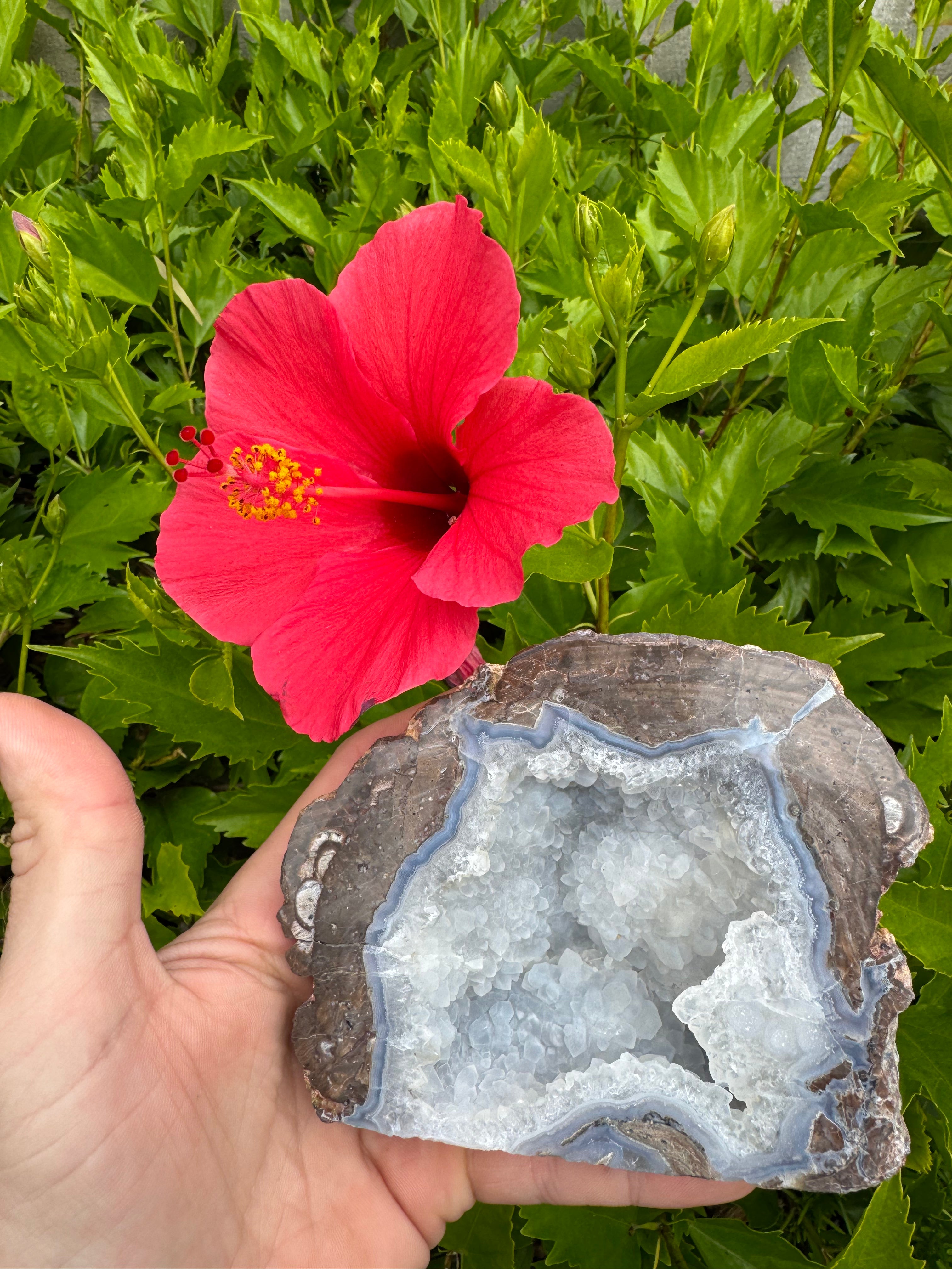 Dugway Geode; 669.4 grams