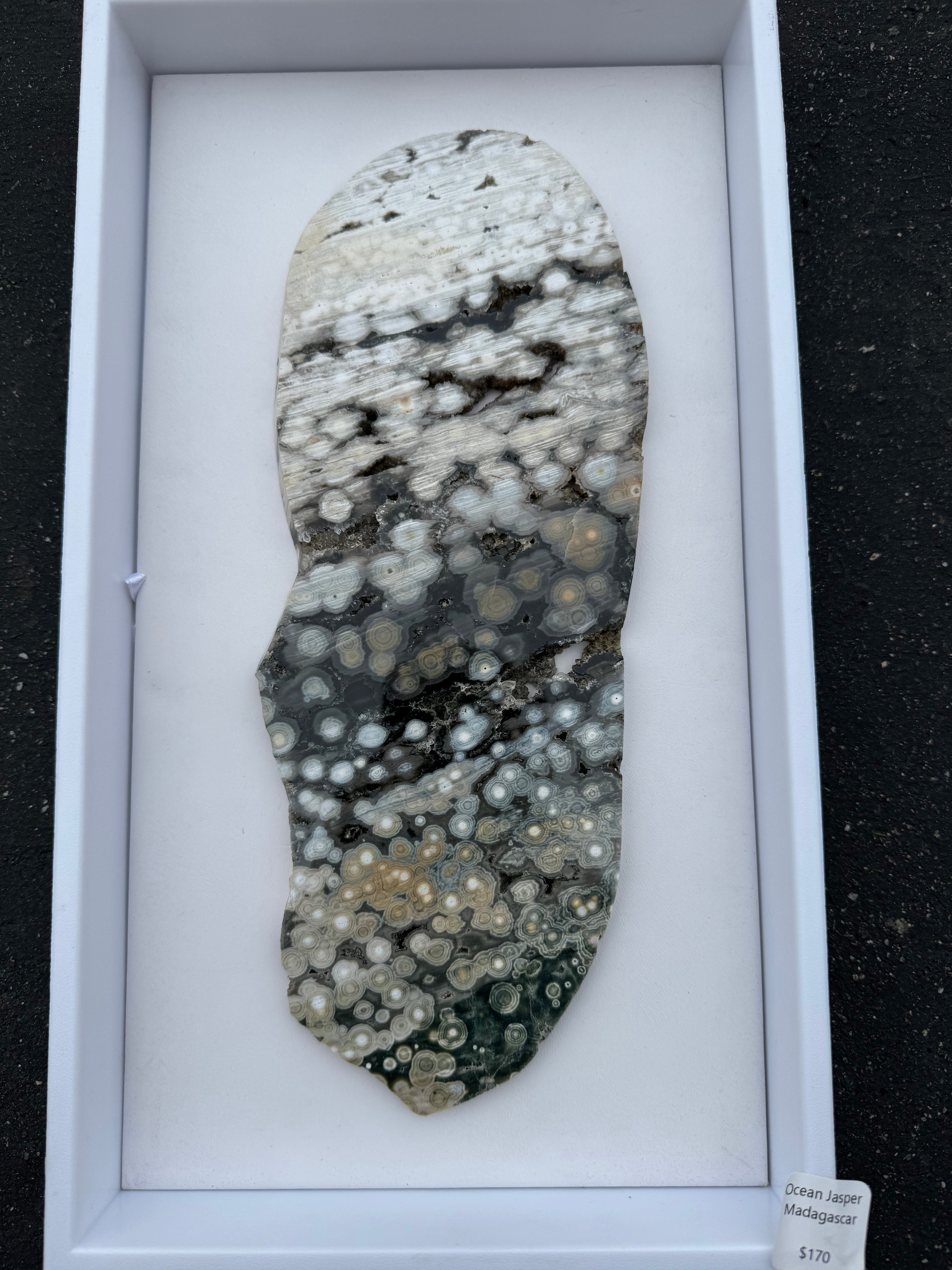 Ocean Jasper Slab; 578.1 grams
