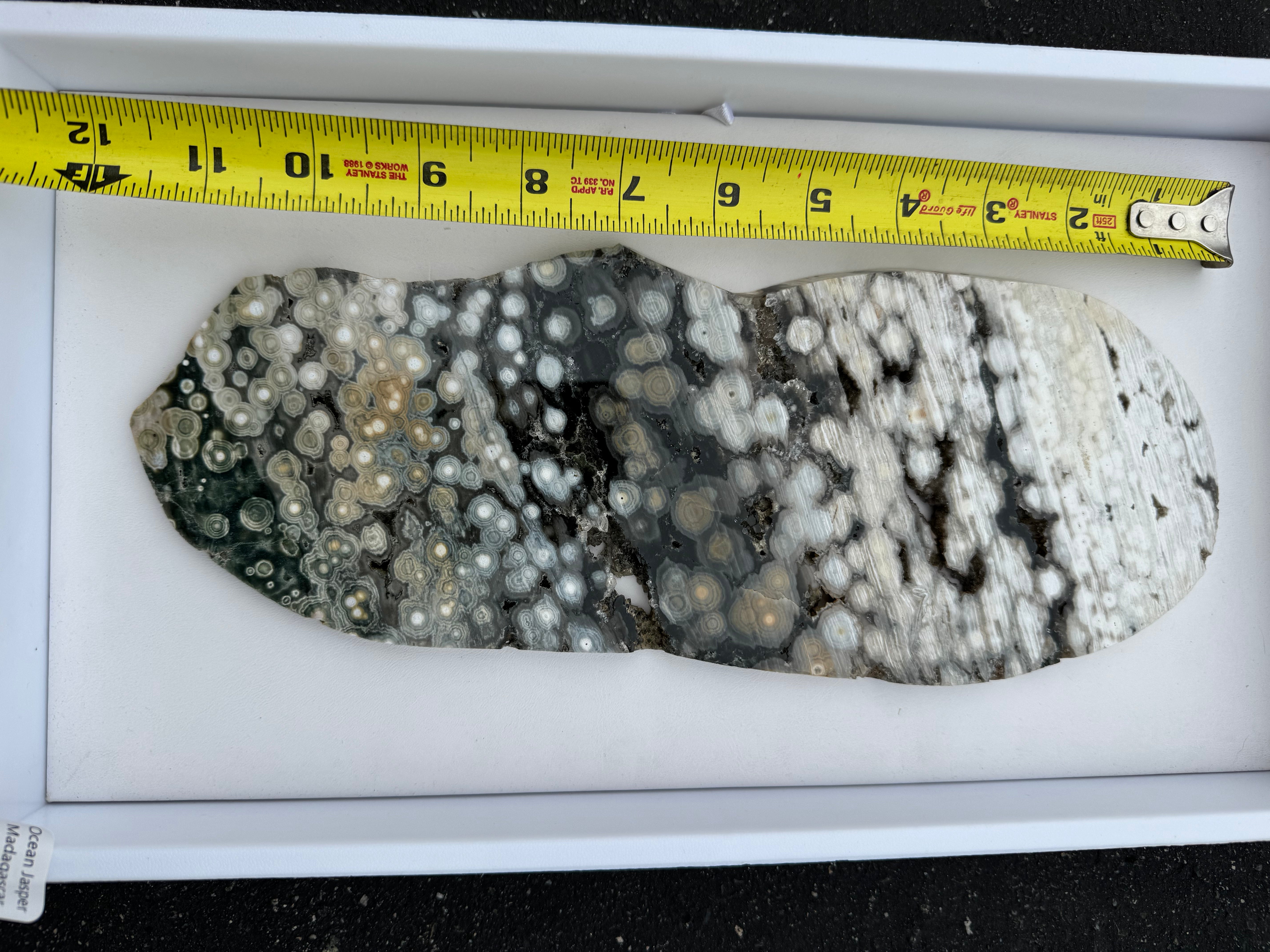 Ocean Jasper Slab; 578.1 grams