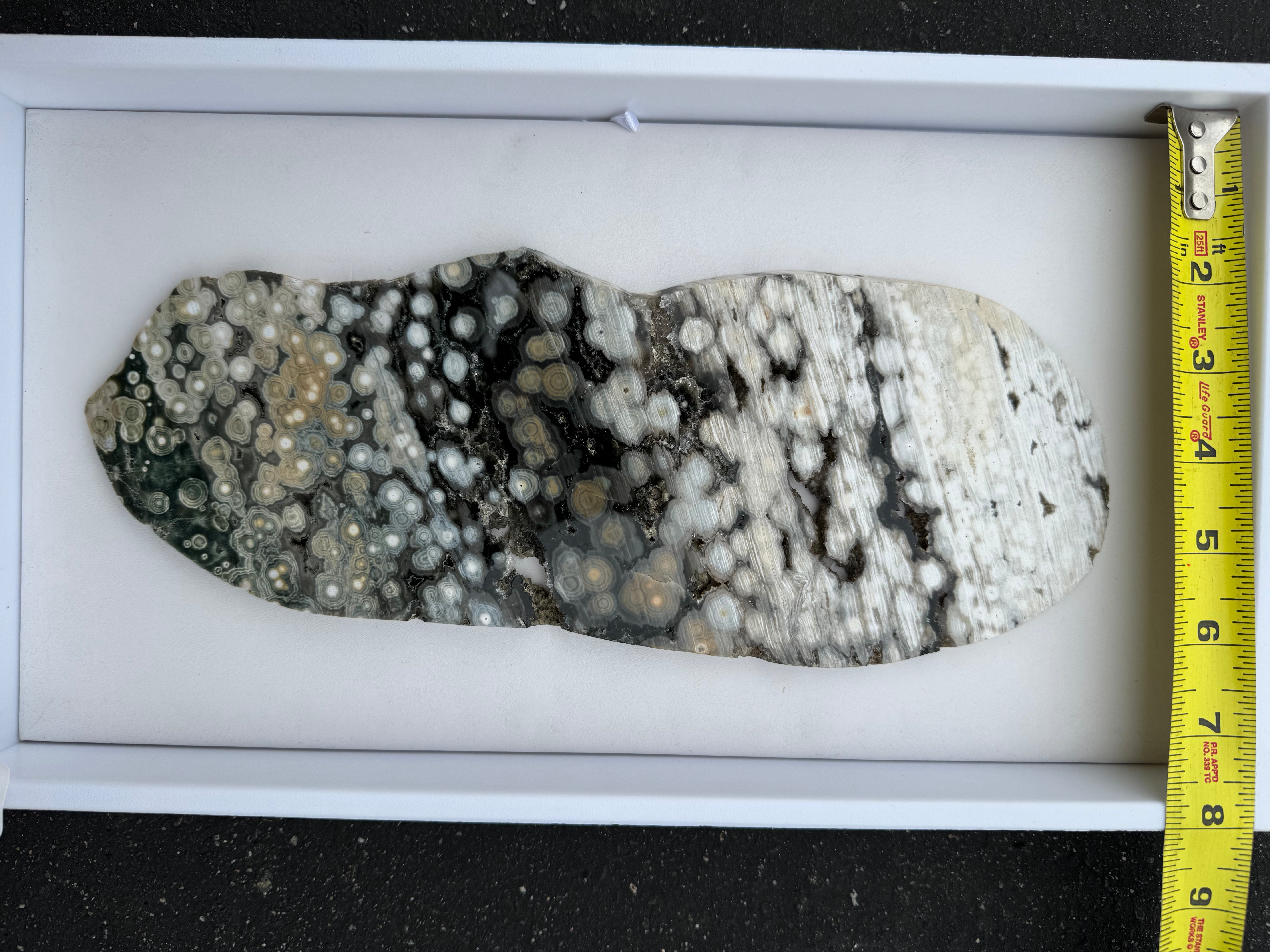 Ocean Jasper Slab; 578.1 grams