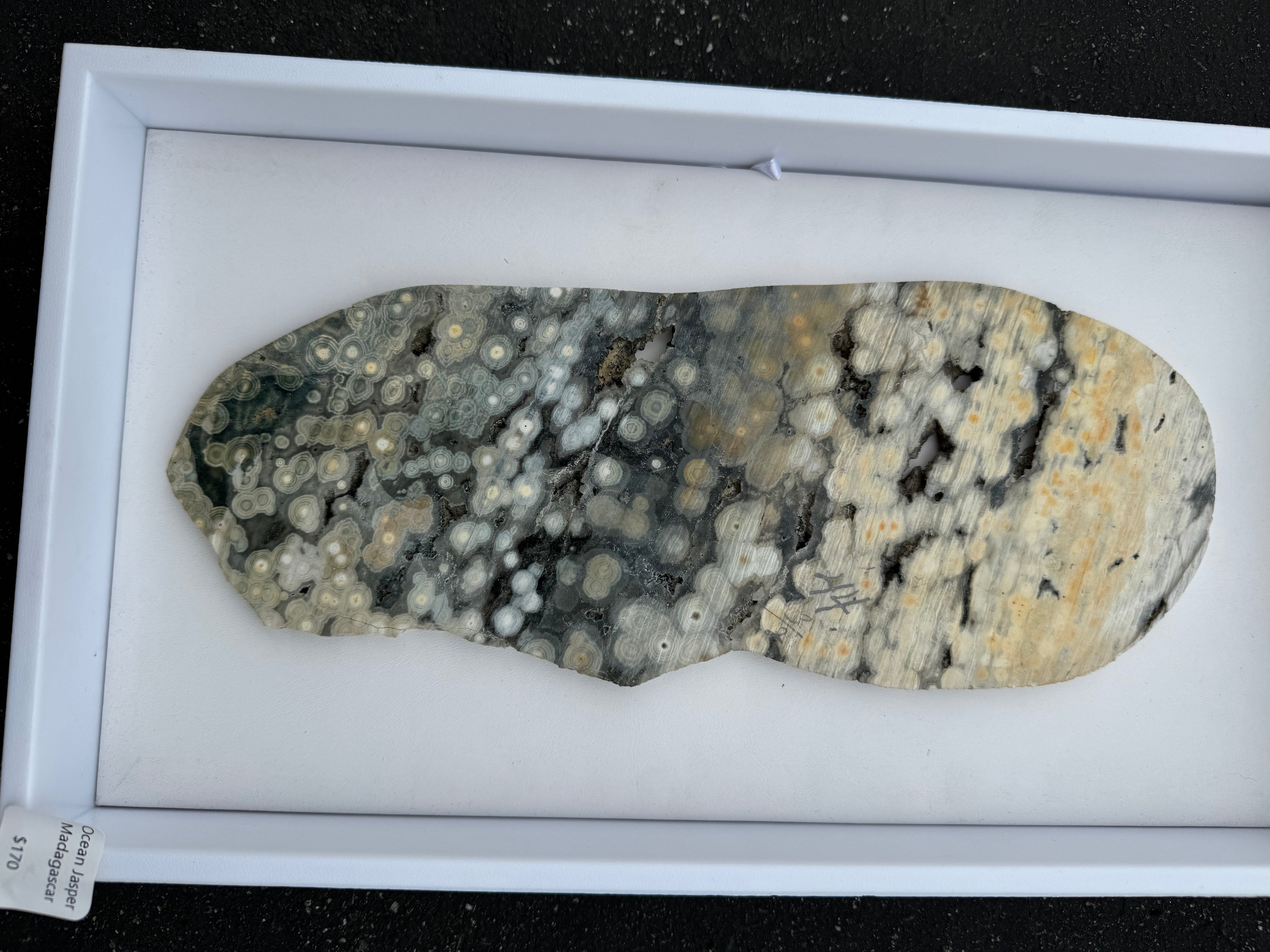 Ocean Jasper Slab; 578.1 grams