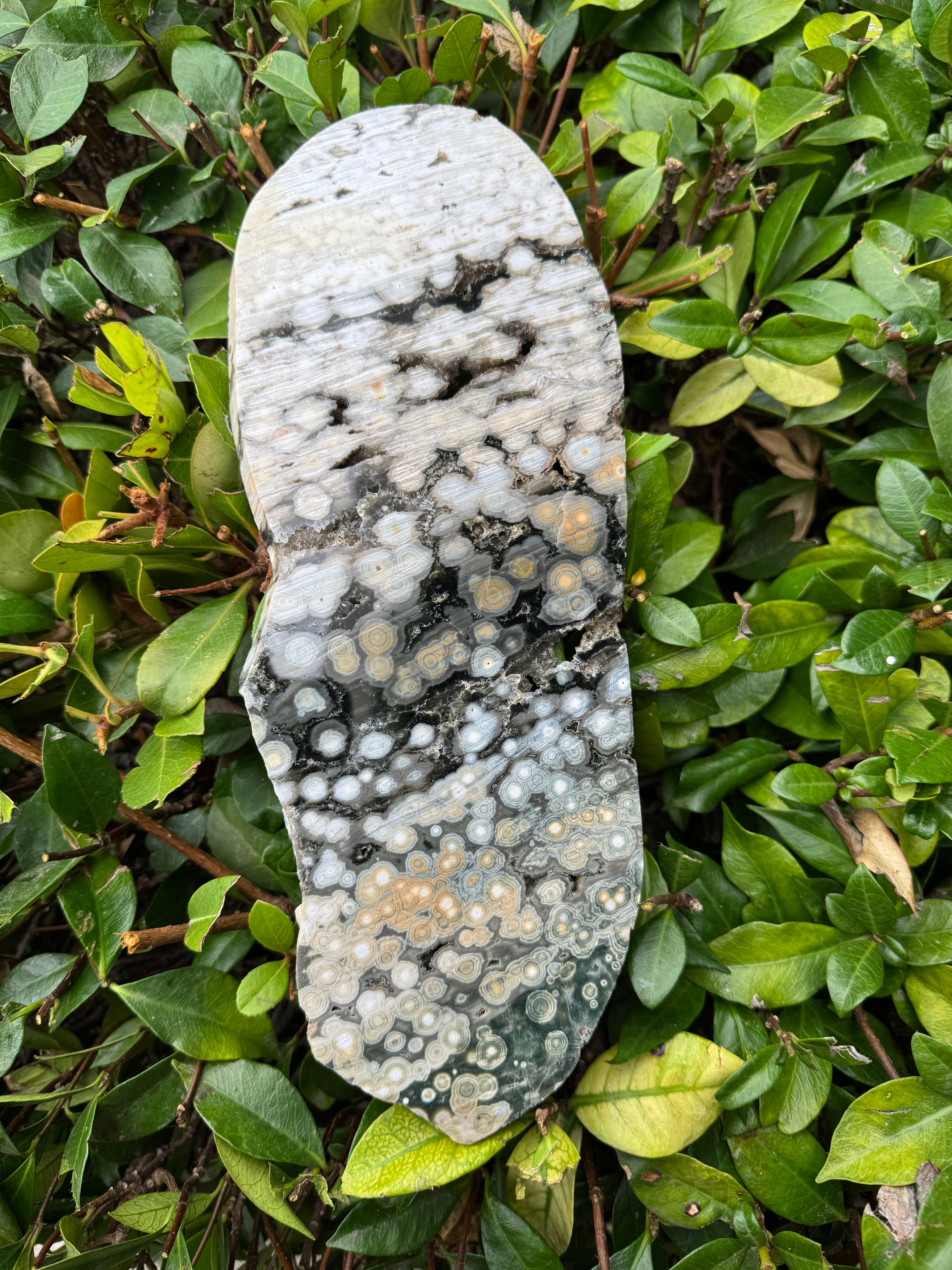 Ocean Jasper Slab; 578.1 grams