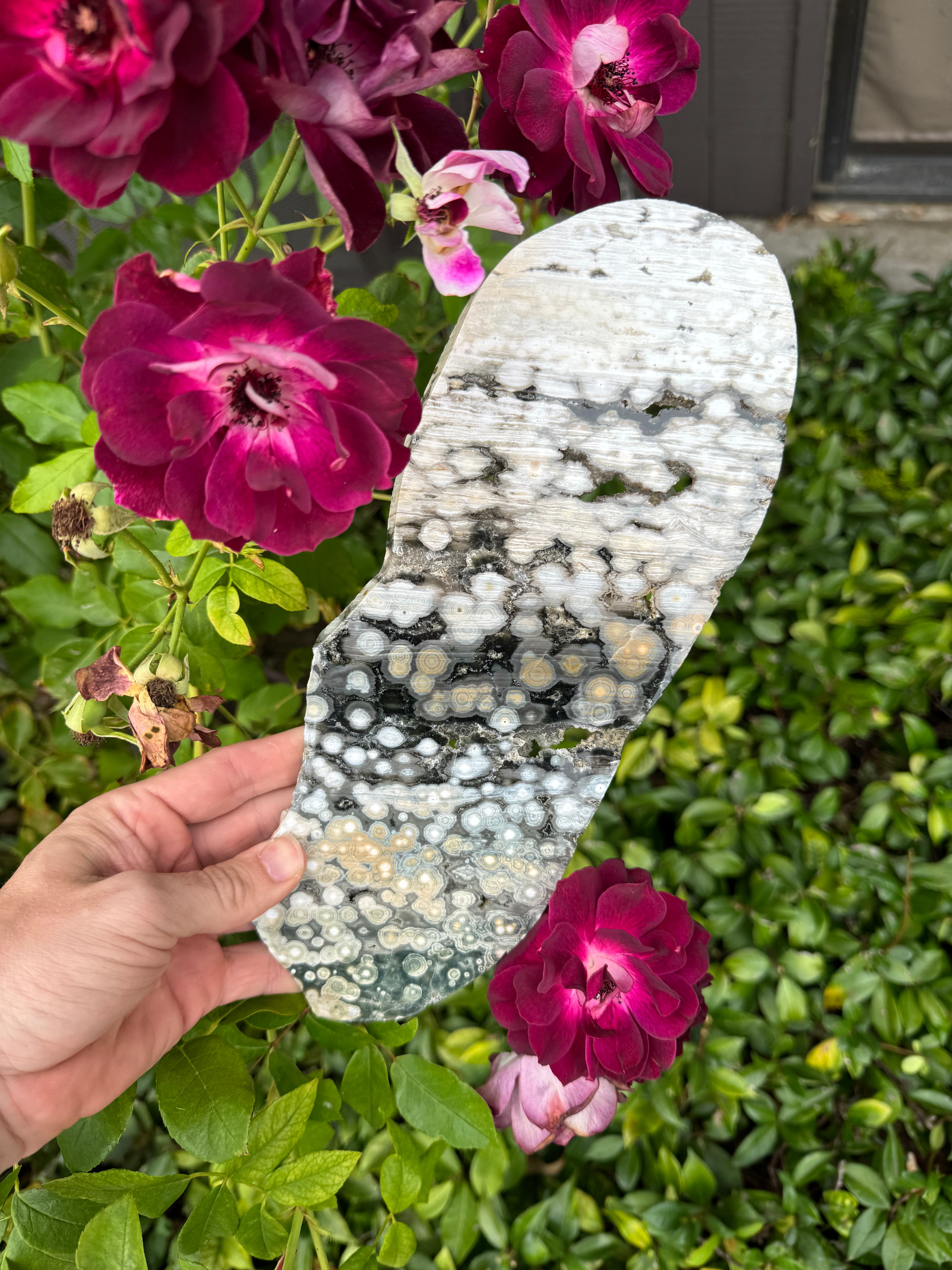 Ocean Jasper Slab; 578.1 grams