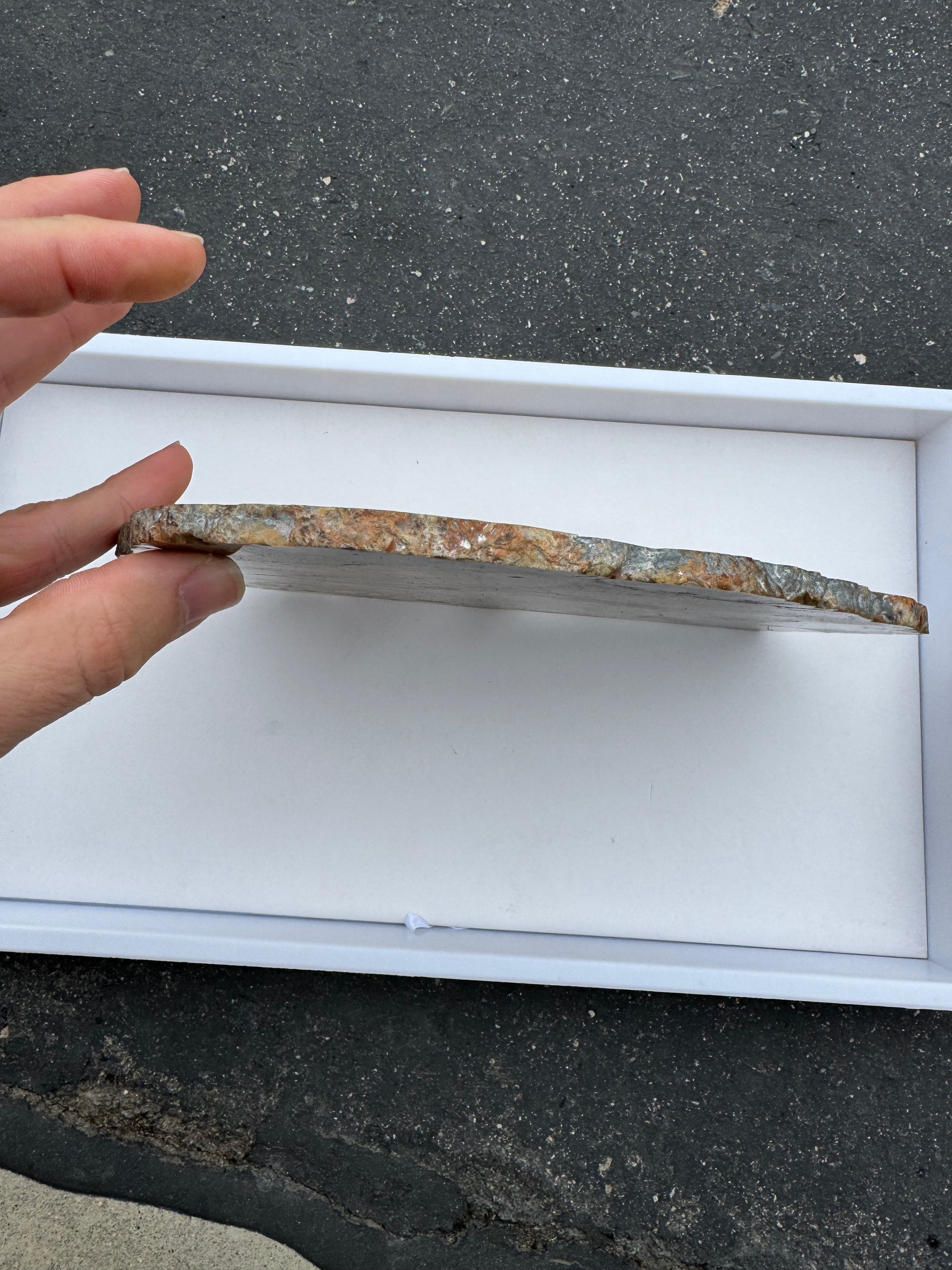 Petrified Palm Root; 674.6 grams