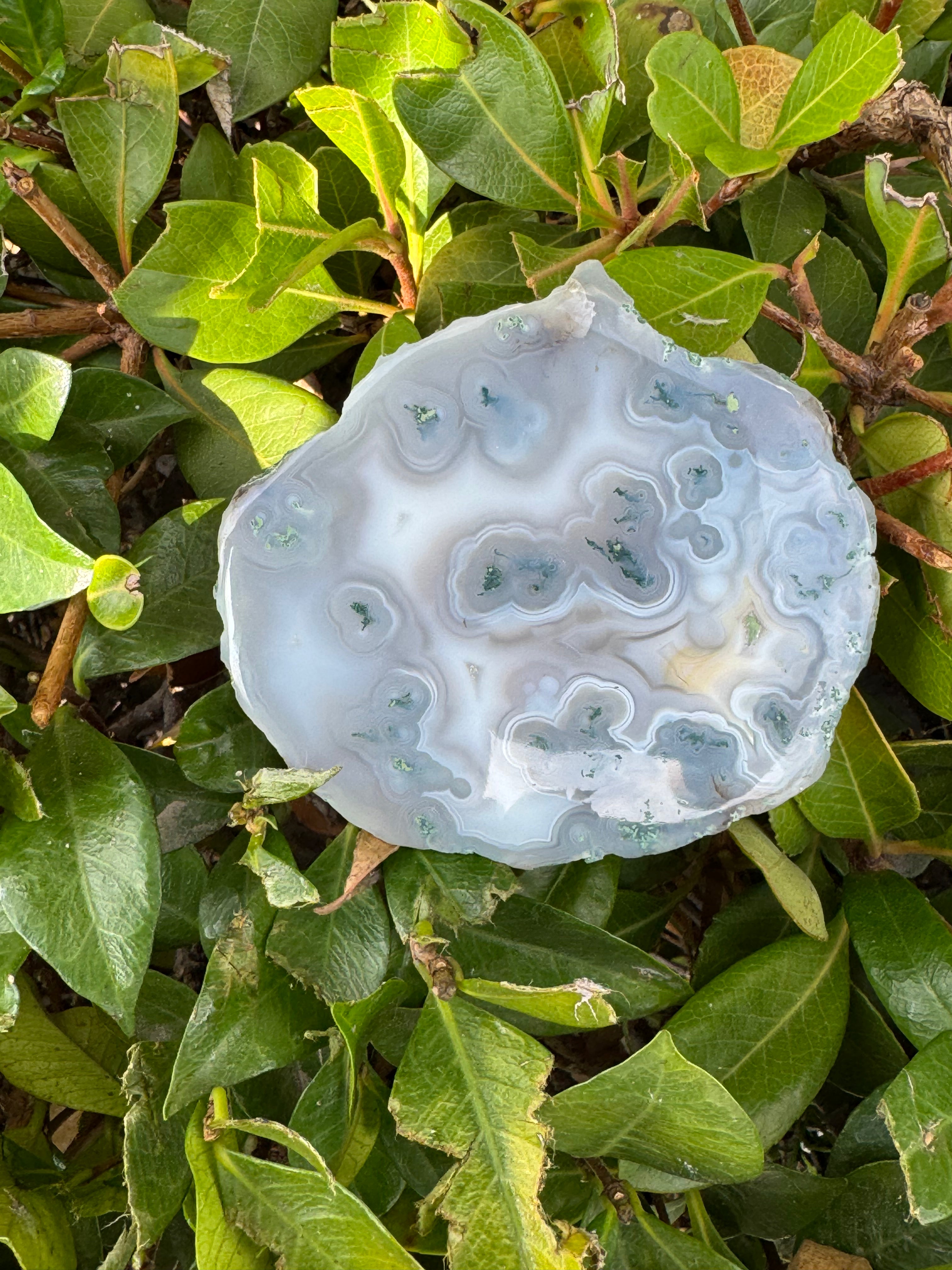 Botswana Agate Slice; 80.9 grams